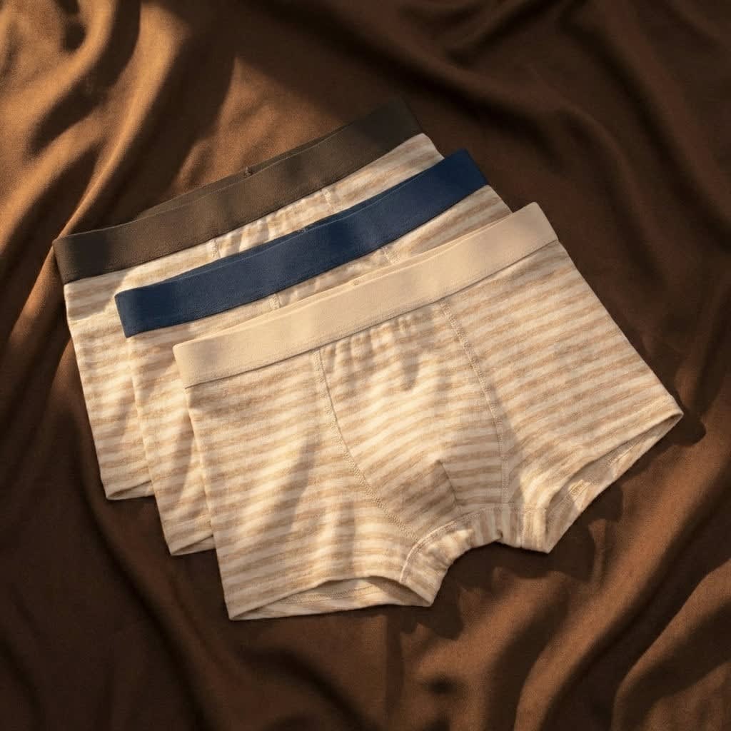 Zane Striped Cotton Boxer Briefs Multipack_6