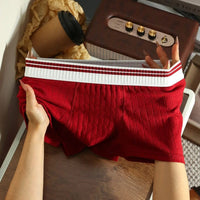 Channing Striped Waistband Boxer Briefs Multipack
