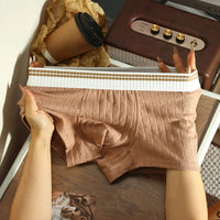 Channing Striped Waistband Boxer Briefs Multipack