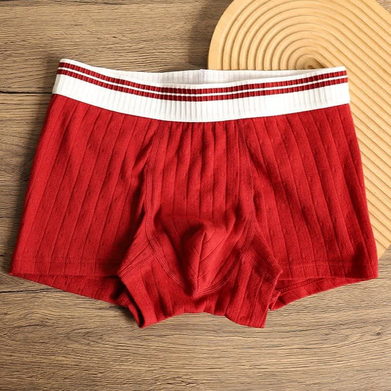 Channing Striped Waistband Boxer Briefs Multipack_6