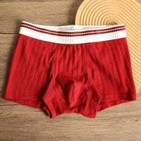 Channing Striped Waistband Boxer Briefs Multipack