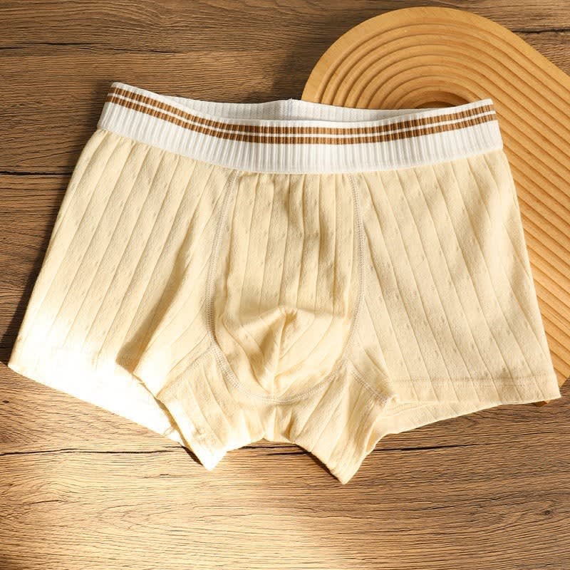 Channing Striped Waistband Boxer Briefs Multipack_7