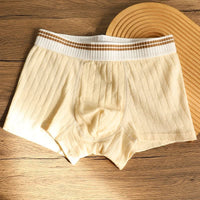 Channing Striped Waistband Boxer Briefs Multipack