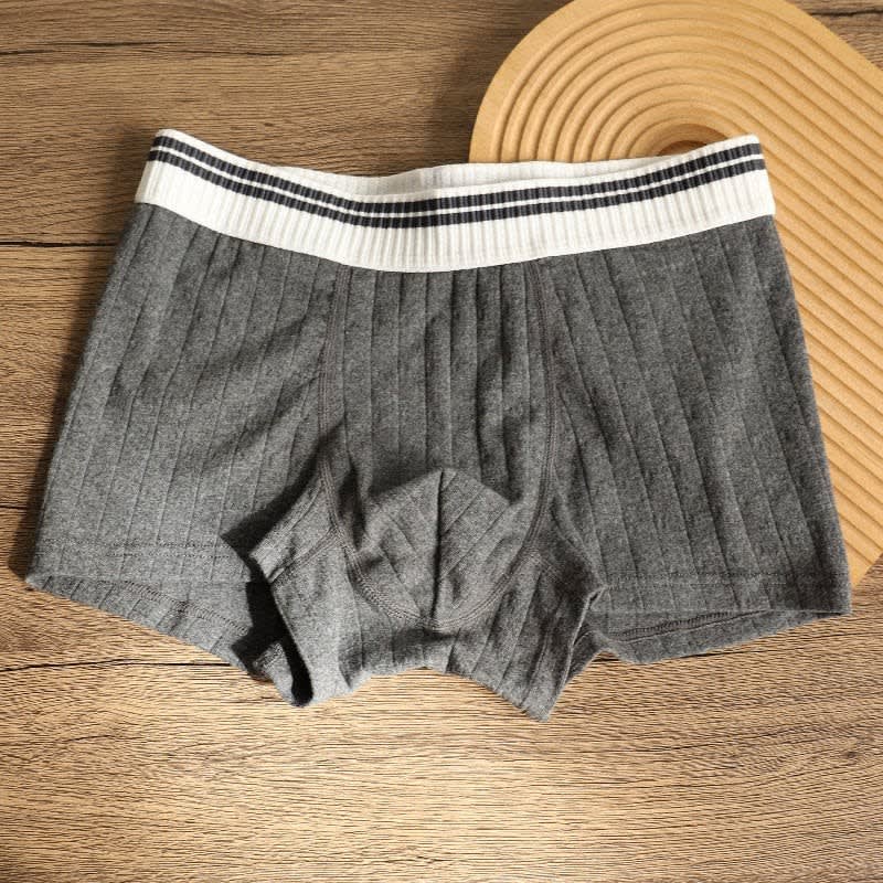 Channing Striped Waistband Boxer Briefs Multipack