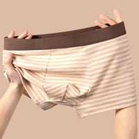 Zane Striped Cotton Boxer Briefs Multipack