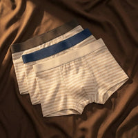 Zane Striped Cotton Boxer Briefs Multipack