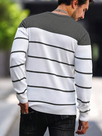 Finnegan Color Block Striped Crew Neck Pullover