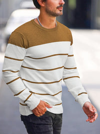 Finnegan Color Block Striped Crew Neck Pullover